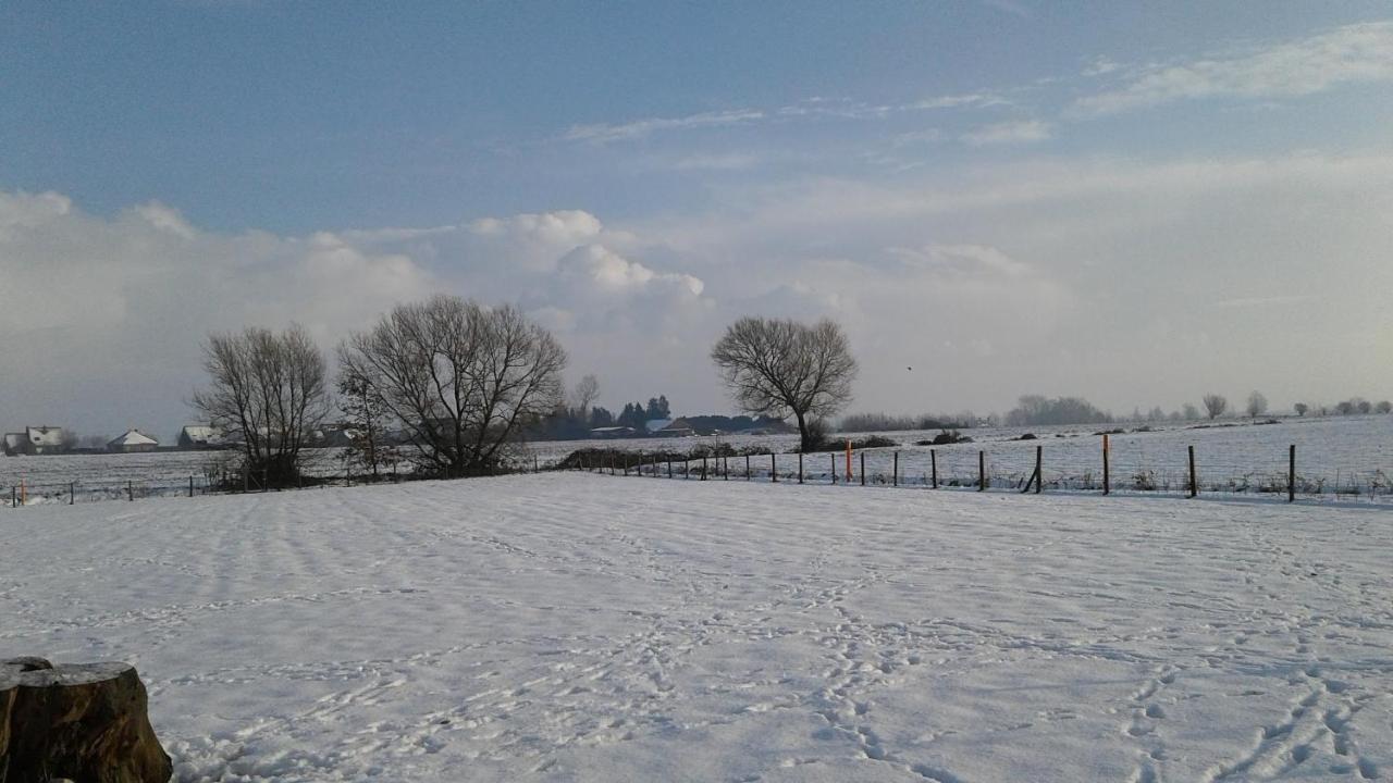 B & B Victors Hof, Met Zwemvijver In Landelijke Setting Lievegem エクステリア 写真