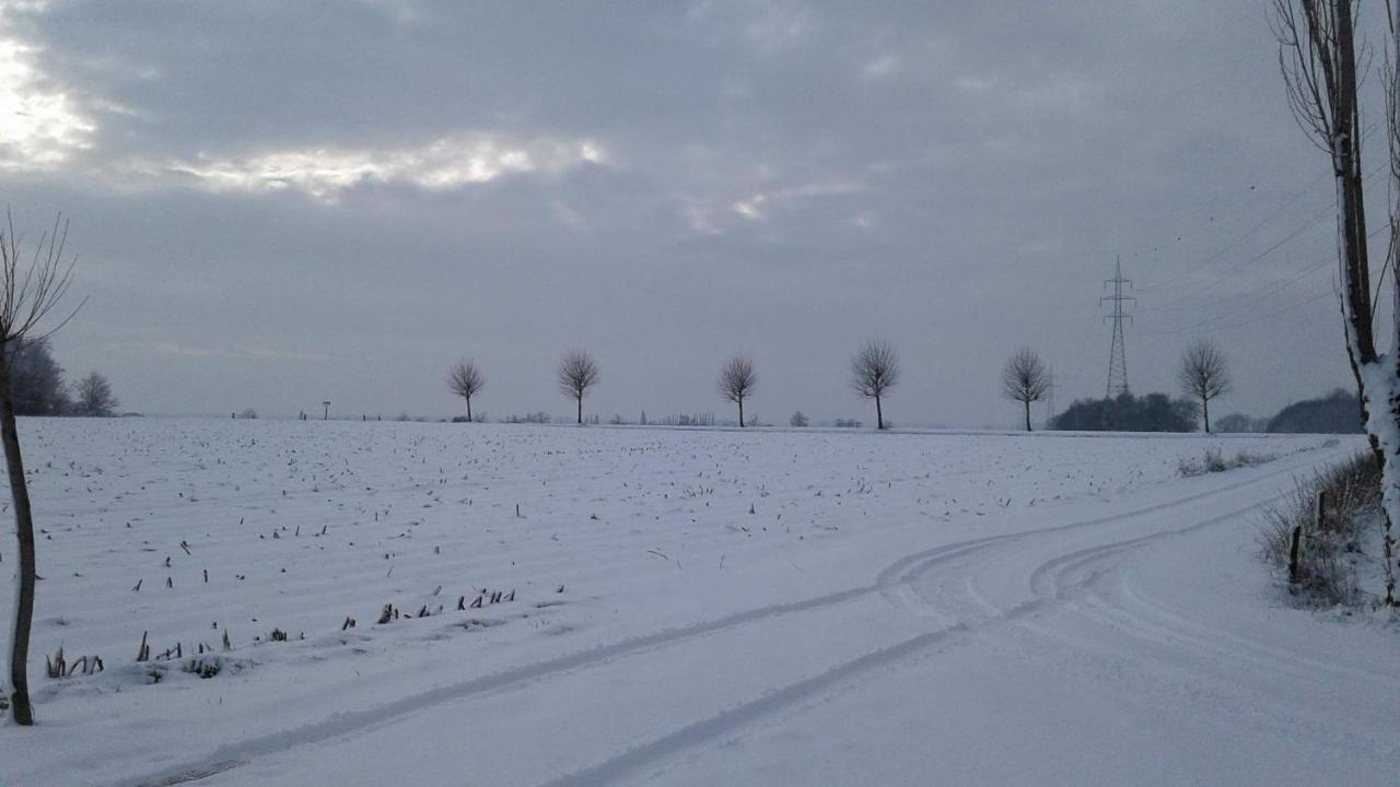 B & B Victors Hof, Met Zwemvijver In Landelijke Setting Lievegem エクステリア 写真