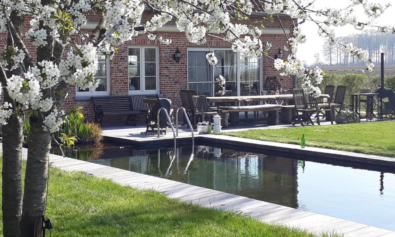 B & B Victors Hof, Met Zwemvijver In Landelijke Setting Lievegem エクステリア 写真