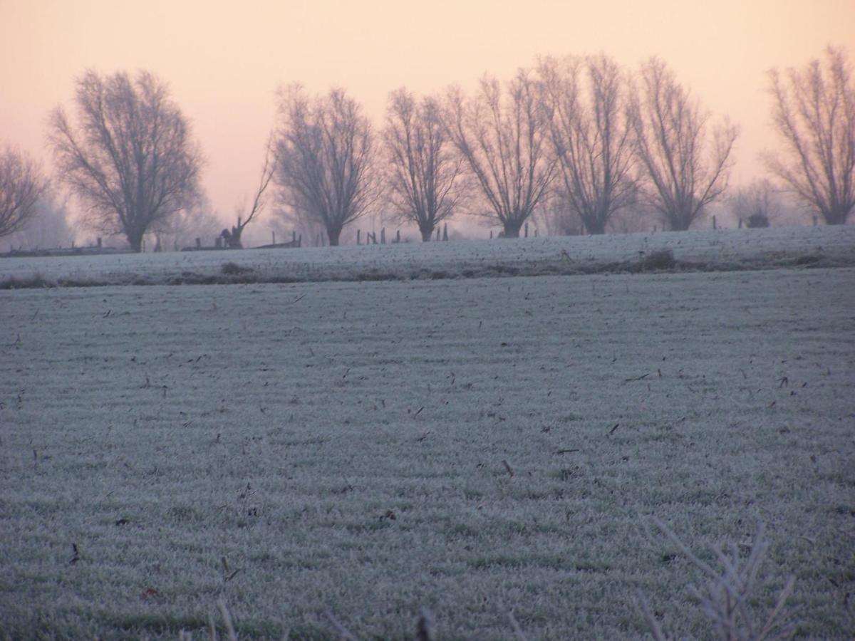 B & B Victors Hof, Met Zwemvijver In Landelijke Setting Lievegem エクステリア 写真
