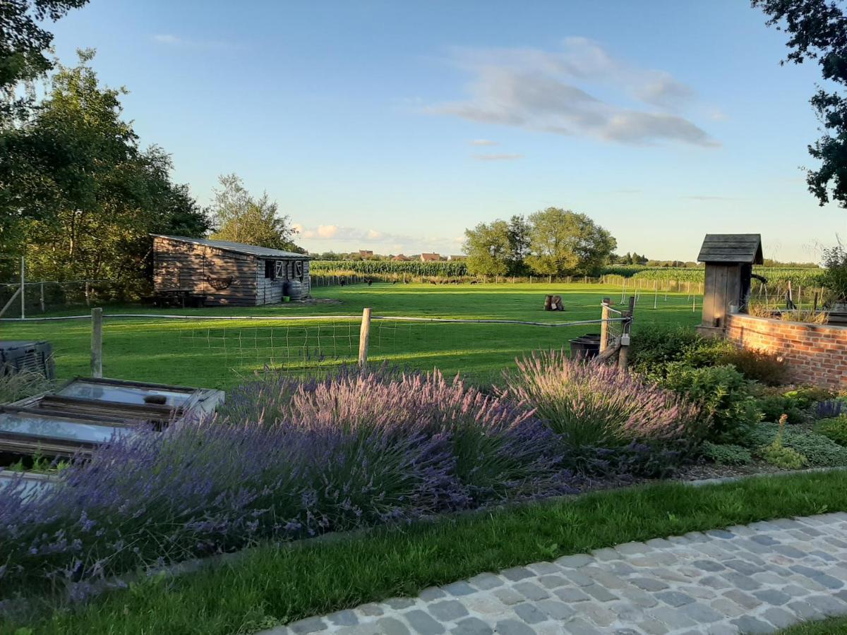 B & B Victors Hof, Met Zwemvijver In Landelijke Setting Lievegem エクステリア 写真