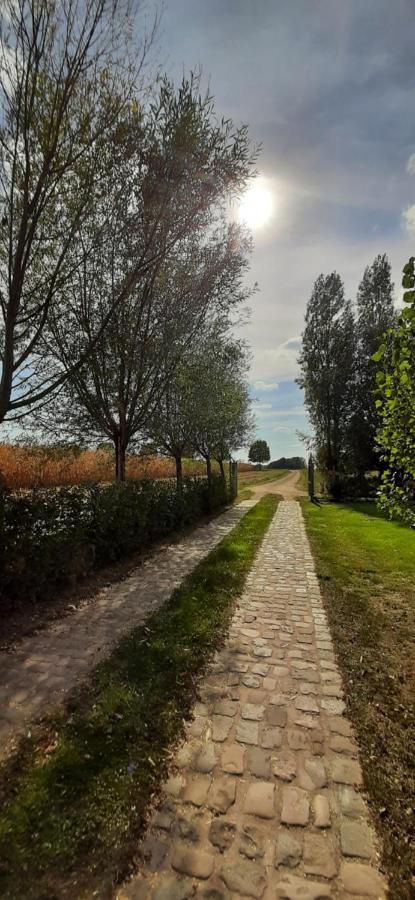 B & B Victors Hof, Met Zwemvijver In Landelijke Setting Lievegem エクステリア 写真