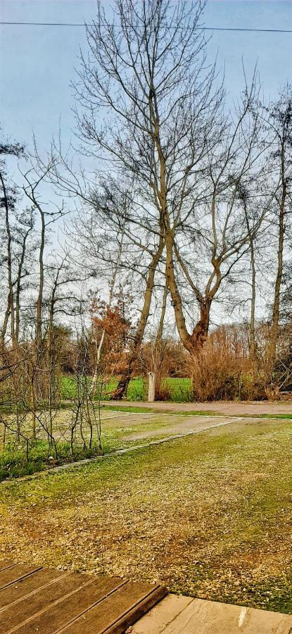 B & B Victors Hof, Met Zwemvijver In Landelijke Setting Lievegem エクステリア 写真